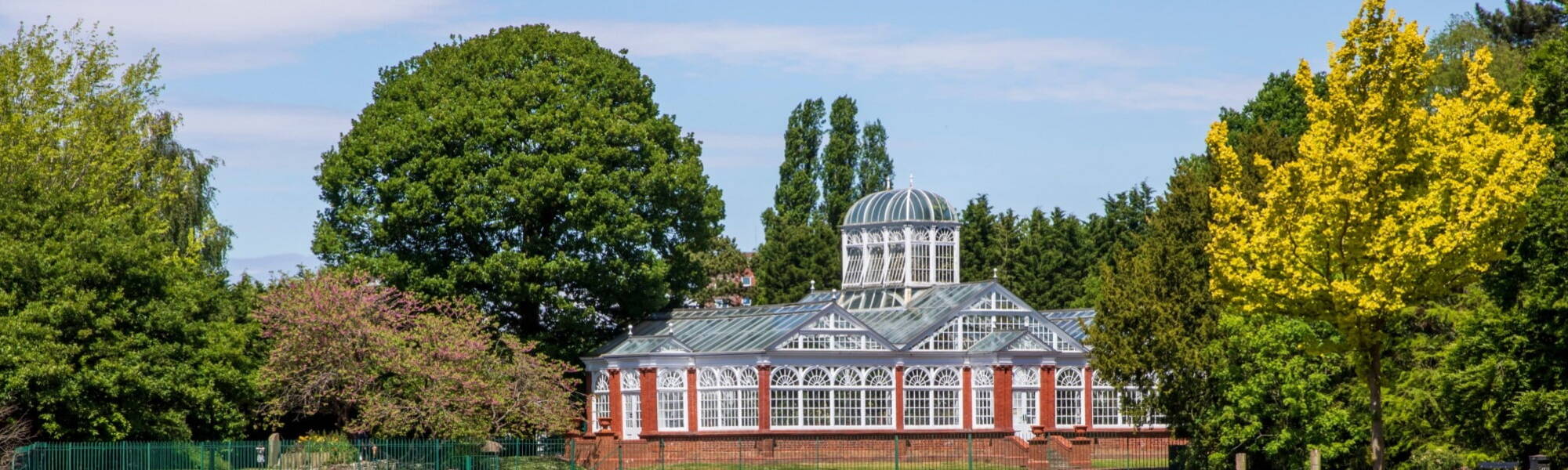 View of an English park. Spring in England