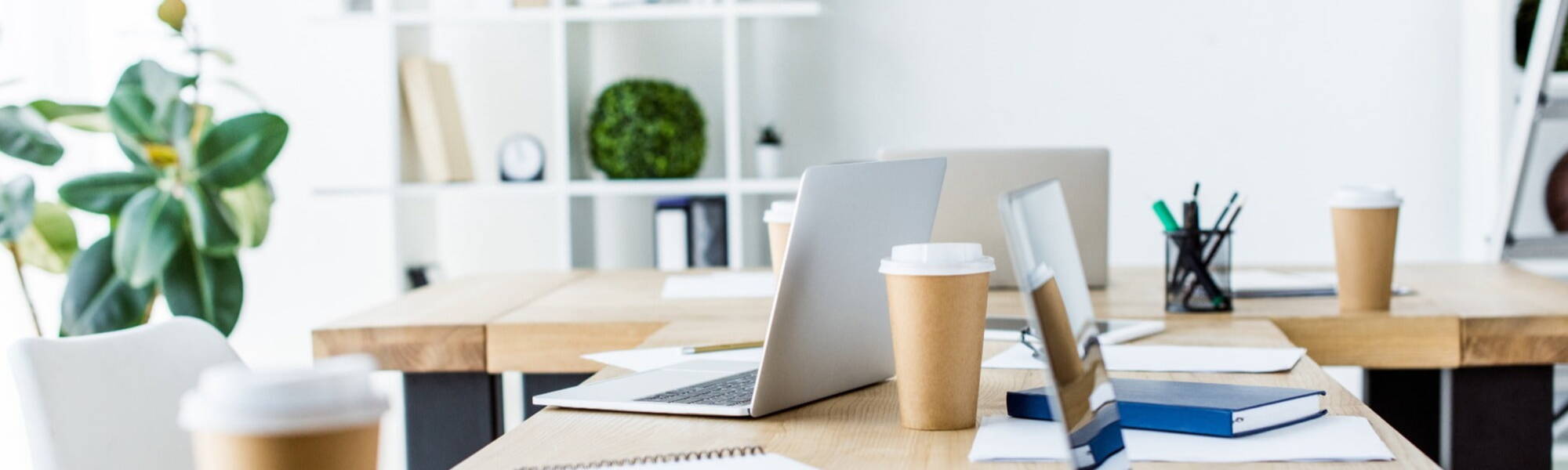 office desks with laptops coffee and plants