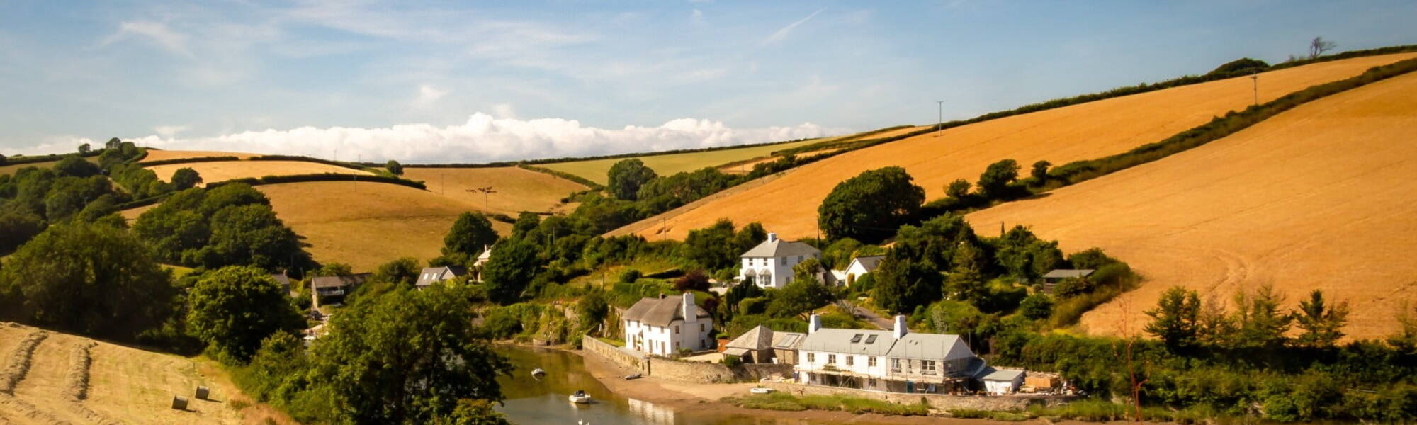 Devon Farmer Field, Summer, UK