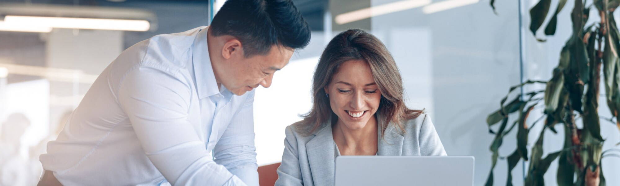 professionals working together on a laptop in an office