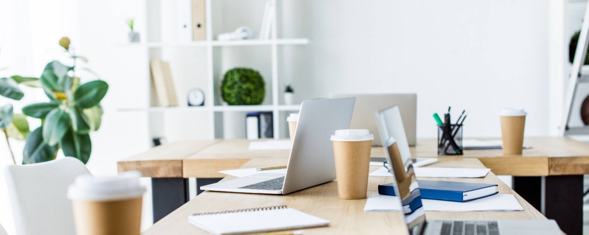 white office desks with laptops coffees and plants